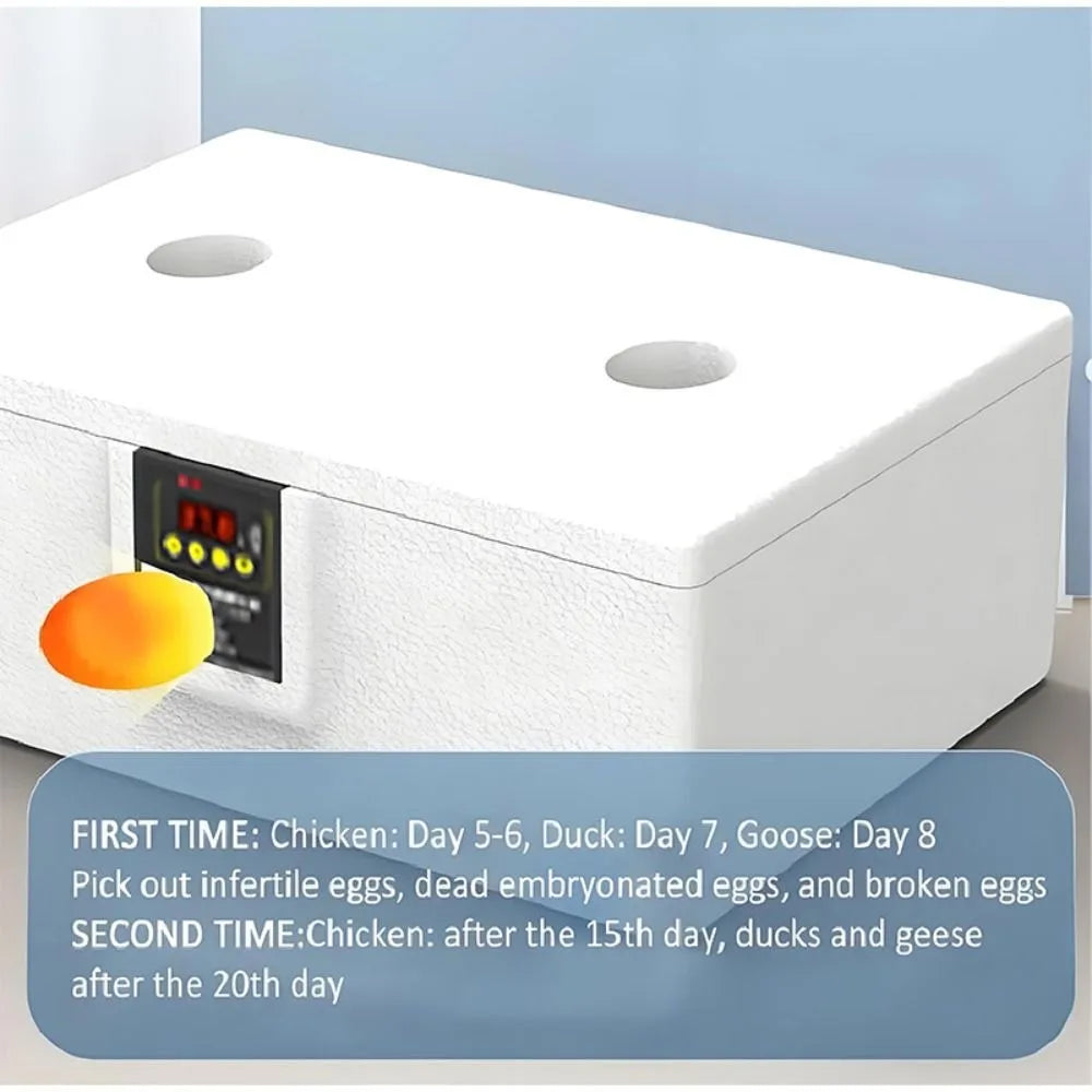 24-Hour Thermostatic Egg Incubator - Quiet Operation