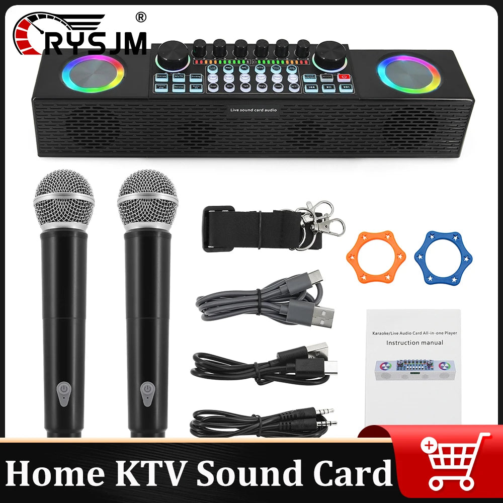 Home KTV Karaoke Speaker All-in-One &ndash; Bluetooth 5.0