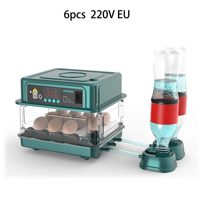 6/12 Hatcher Eggs Incubator Brooder &ndash; Auto Egg Turner Green 6 220V EU
