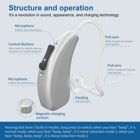 Digit Program 30 Channel Hearing Aids &ndash; Wireless Sound Amplification