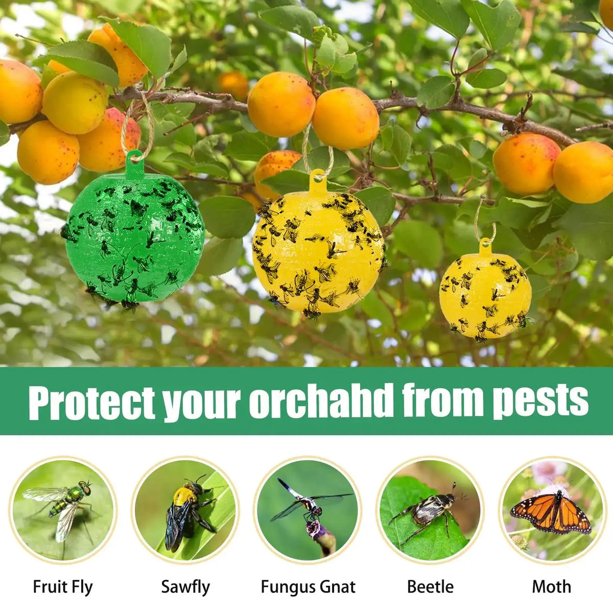 Sticky Fruit Fly Traps for Garden and Orchard Pest Control - 8cm Balls (1/6/12 Pack)