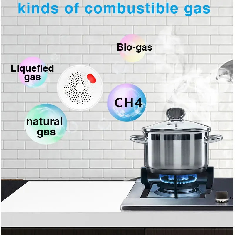 Tuya Smart WiFi Mini Gas Detector With Plug &ndash; Plug In Ready