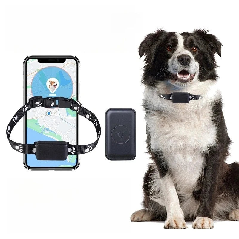 P03 Pet GPS Tracker &ndash; Quadruple Precise Positioning