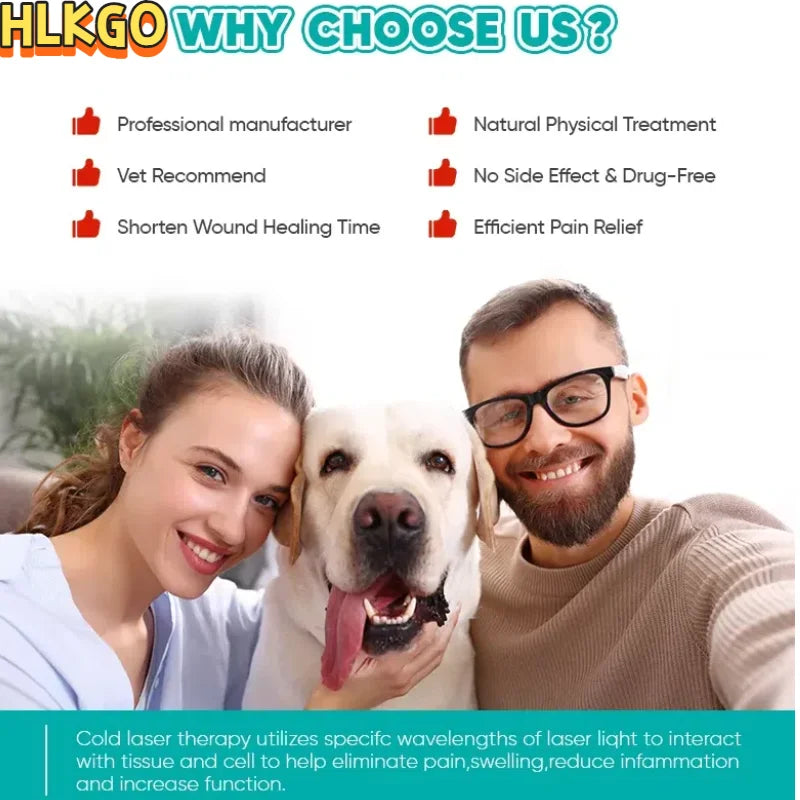 Veteriner ve İnsan 808nm Soğuk Lazer Cihazı Led Ekran