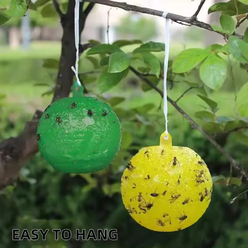 Sticky Fruit Fly Traps for Garden and Orchard Pest Control - 8cm Balls (1/6/12 Pack)