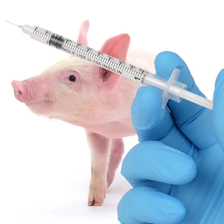 Disposable Veterinary Syringe &ndash; Multiple Capacity Sizes