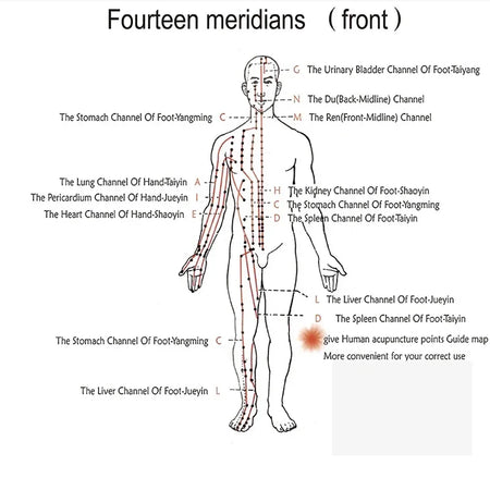 EMS Microcurrent Massage Instrument &ndash; Six Channel Output