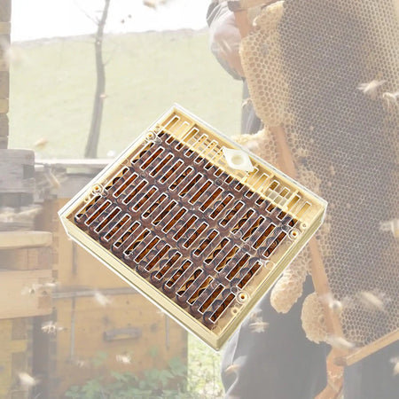 Beekeeping Queen Bee Rearing Box &ndash; Safe Grafting Kit