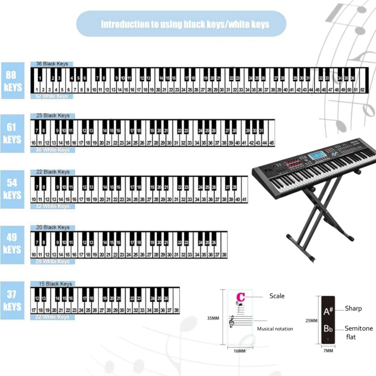 Miwayer Piano Key Stickers 37 To 88 Keys &ndash; Removable Labels
