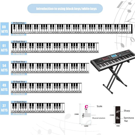 Miwayer Piano Key Stickers 37 To 88 Keys &ndash; Removable Labels