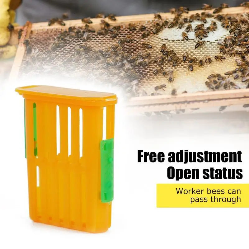 Beekeeping Queen Cage Set 5Pcs &ndash; Safe Queen Transport