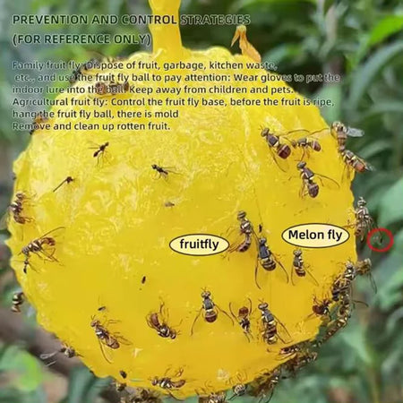 Sticky Fruit Fly Traps for Garden and Orchard Pest Control - 8cm Balls (1/6/12 Pack)