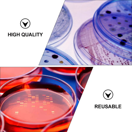 20 Pcs Transparent Plastic Petri Dishes &ndash; Eco-Friendly Reusable Culture Tools