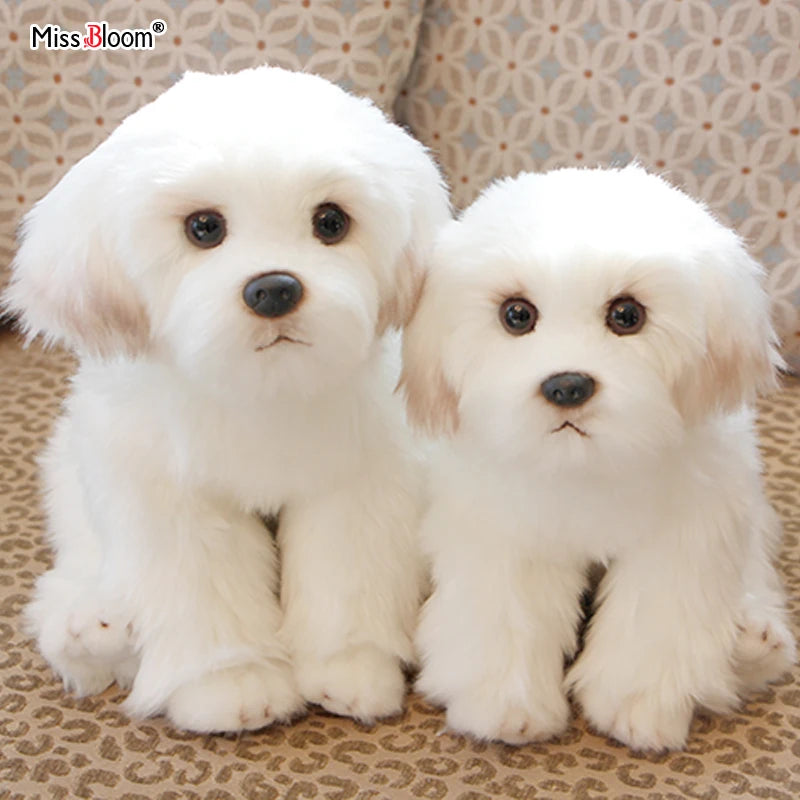 Miss Bloom Plush Maltese Stuffed Dog Doll M size (1piece)