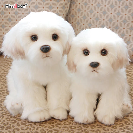 Miss Bloom Plush Maltese Stuffed Dog Doll M size (1piece)