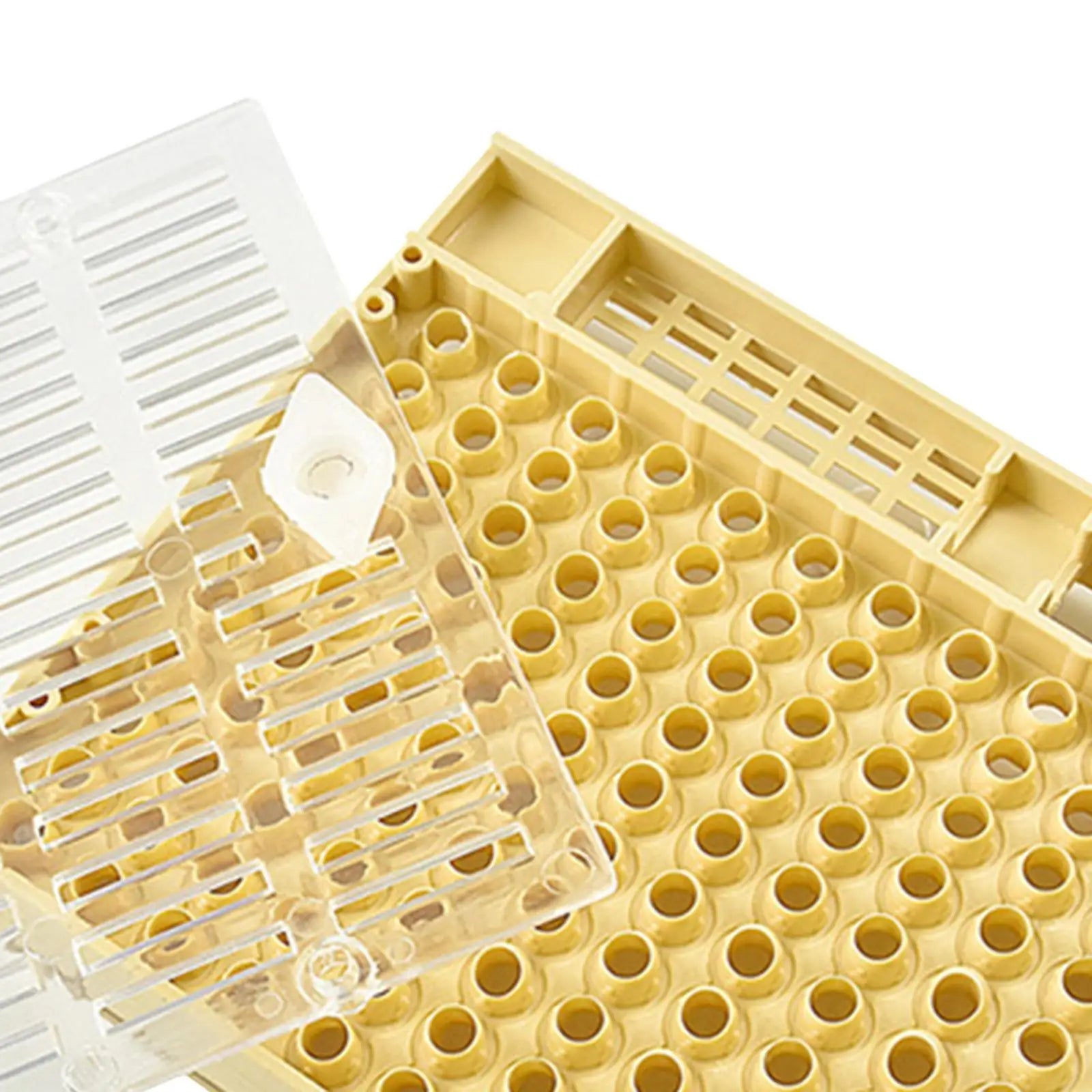 Beekeeping Queen Bee Rearing Box &ndash; Safe Grafting Kit