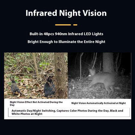 Wildlife Tracking Outdoor Security Camera &ndash; 4K Night Vision