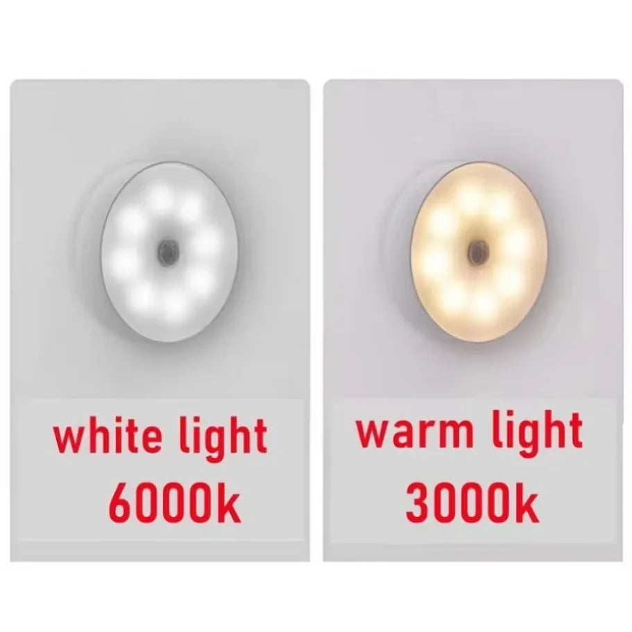Smart LED Motion Sensor Light