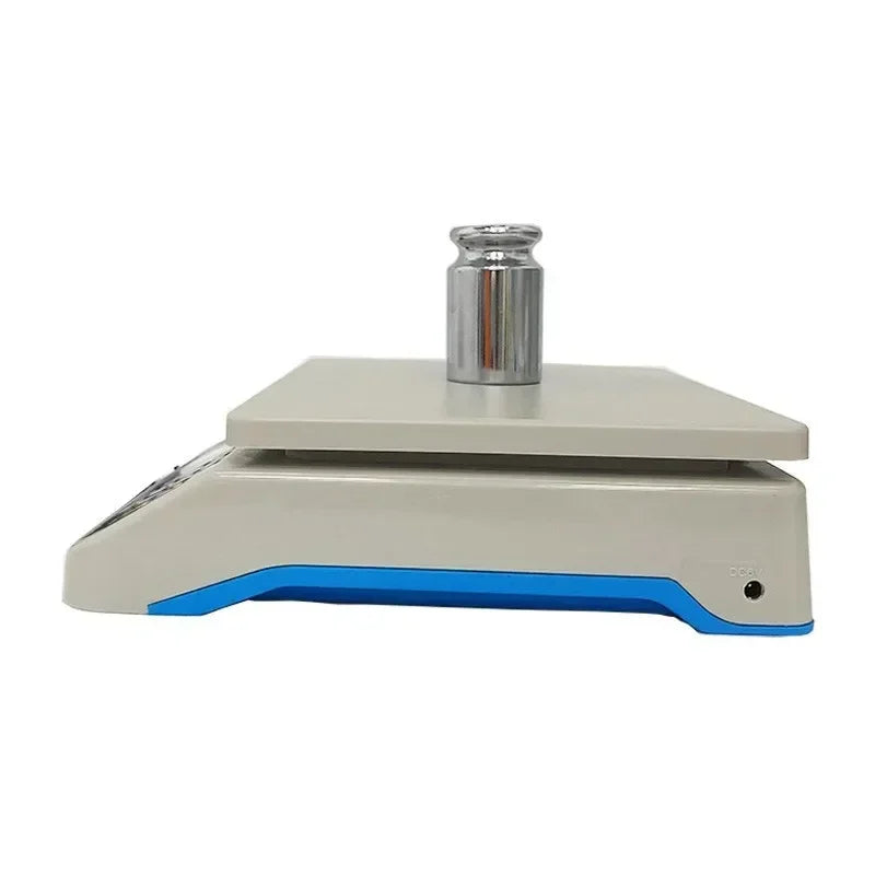 DT580 30KG 1G Precision Digital Scale - High Accuracy