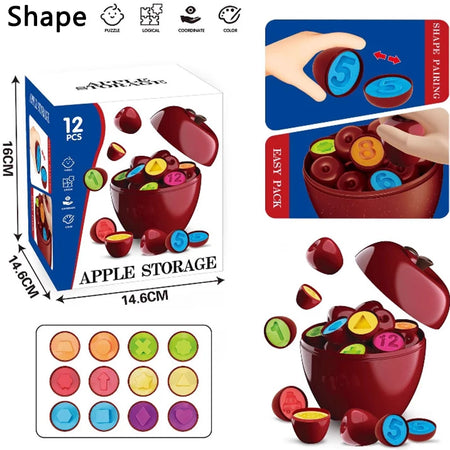 Apple Smart Egg 3D Puzzle &ndash; Fine Motor Skills Development BZS00626 A