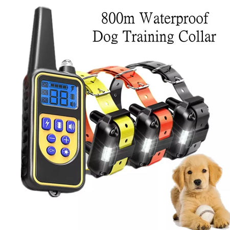 800m Digital Dog Training Collar &ndash; Waterproof LCD Display
