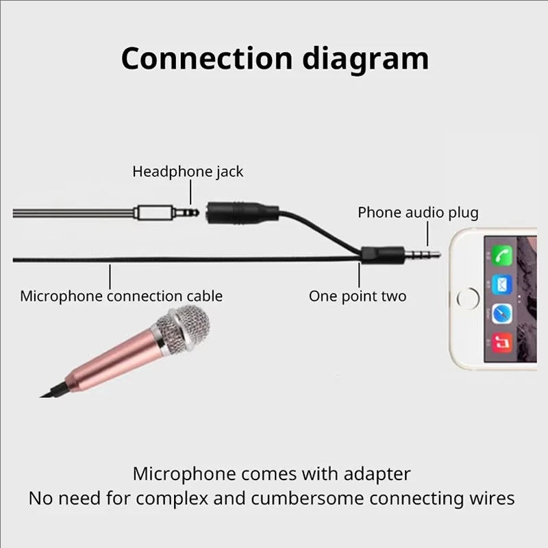 Portable Mini Microphone for Smartphones and PCs