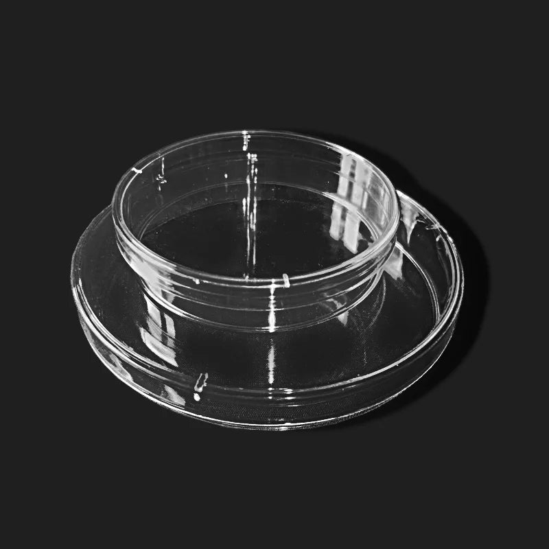 Sterile 70mm Petri Dishes &ndash; Perfect for Laboratory Use