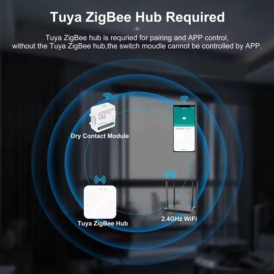 Tuya Wifi Dry Switch Zigbee Module &ndash; Works With Alexa