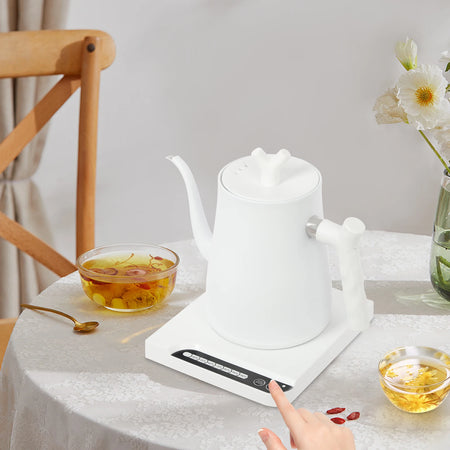 1000W Stainless Steel Electric Kettle &ndash; Temperature Control