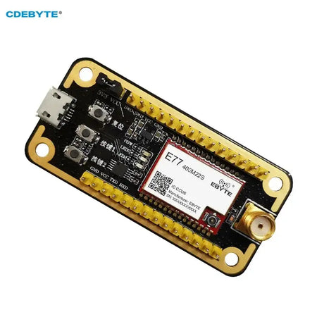 STM32 Development Board Kit For E77 400M22S USB LoRa Module