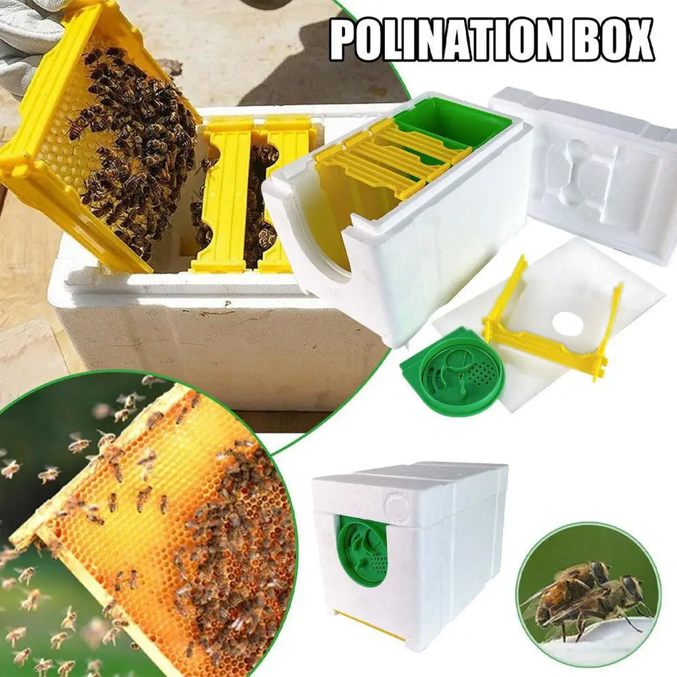 C9y9 - Compact Beehive Box for Pollination and Beekeeping