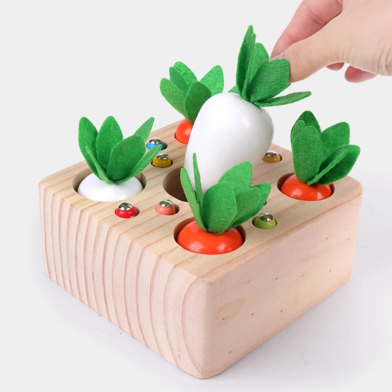 Kids Wooden Pulling Carrot Worm Puzzle Toy &ndash; Educational