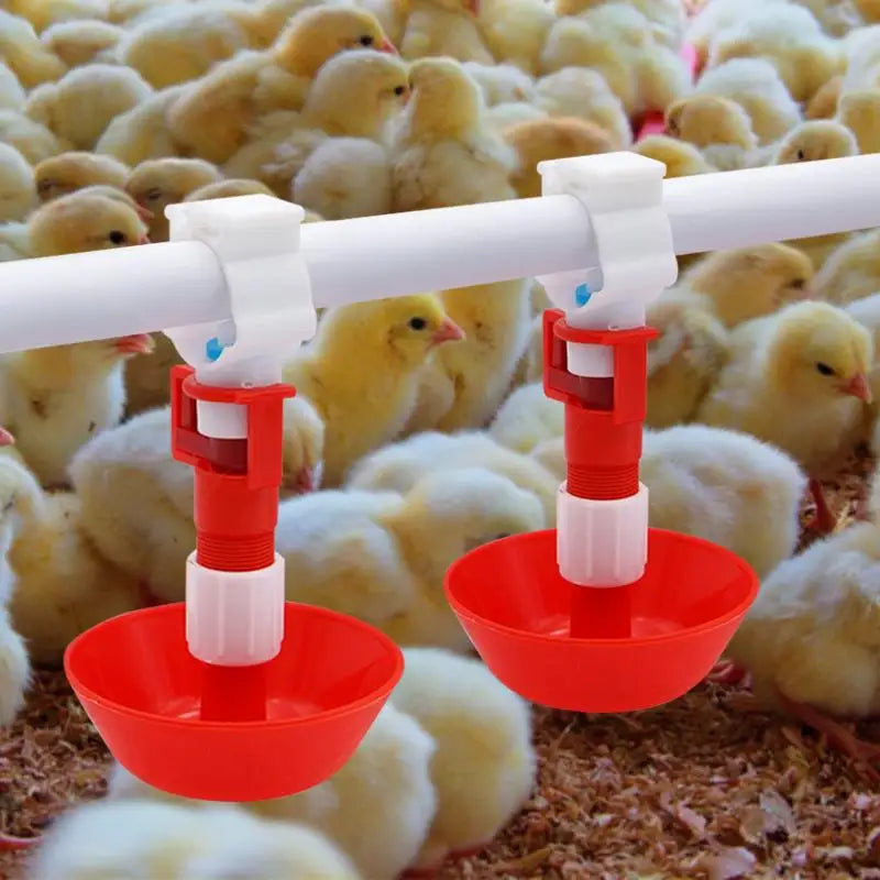 Automatic Chicken Water Nipple Drinker &ndash; Easy Hanging Setup