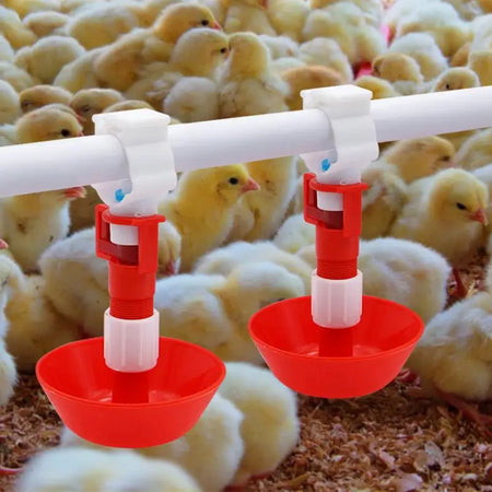 Automatic Chicken Water Nipple Drinker &ndash; Easy Hanging Setup
