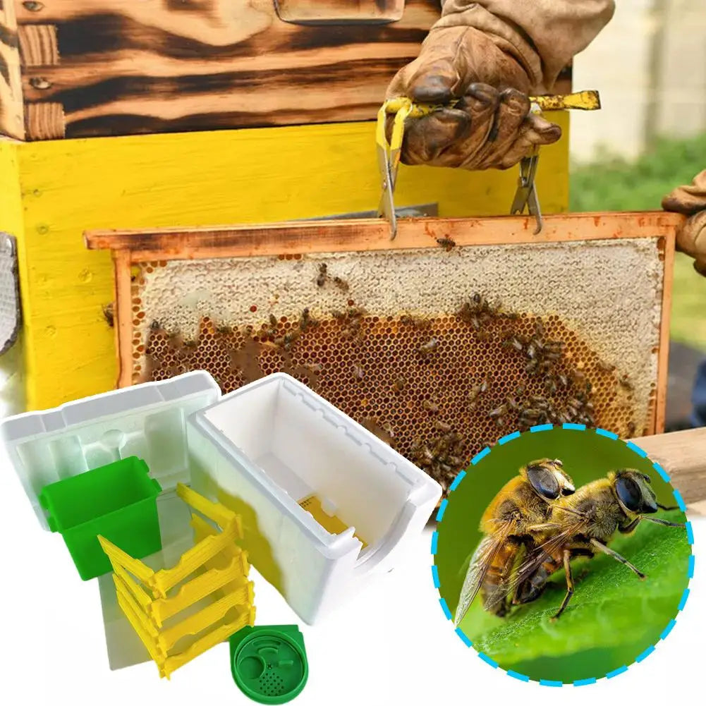 C9y9 - Compact Beehive Box for Pollination and Beekeeping