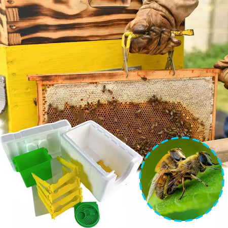 C9y9 - Compact Beehive Box for Pollination and Beekeeping