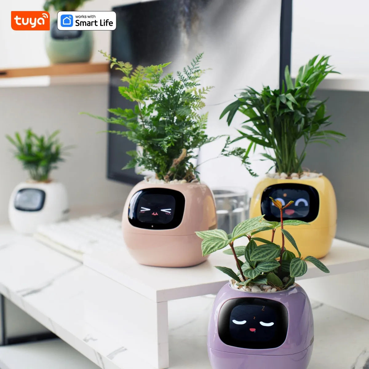 Tuya Ivy Smart Planter with AI, 49 Expressions &amp; 7 Sensors