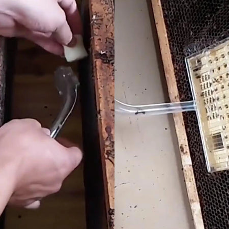 Bee Insect Pipe Type Catch Cage &ndash; Beekeeping Protection Tool