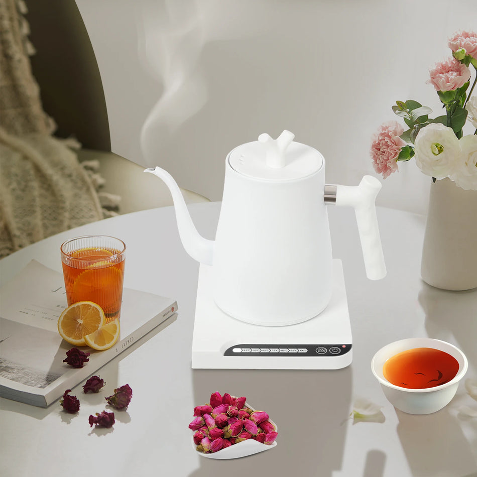 1000W Stainless Steel Electric Kettle &ndash; Temperature Control