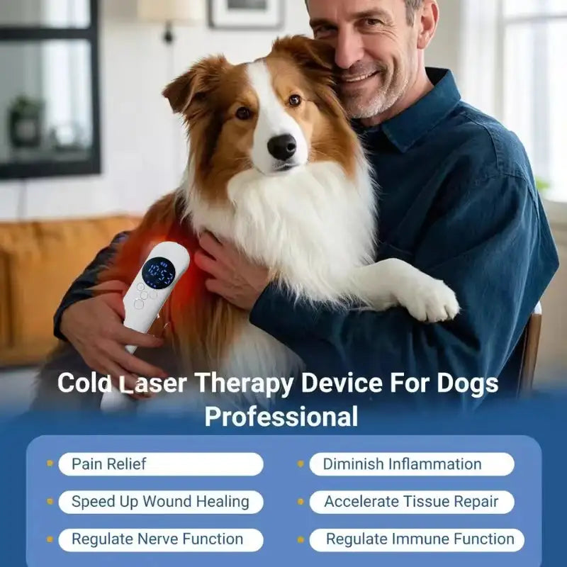 Professional 17 Diodes Cold Laser Device 650nm+808nm - Medical Near Infrared Light Therapy for Sports Injuries &amp; Arthritis Pain