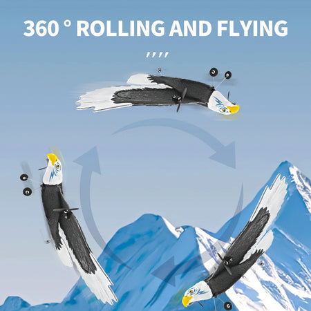 3CH Eagle RC Plane FX9651 &ndash; 360 Degree Rotation EPP Foam