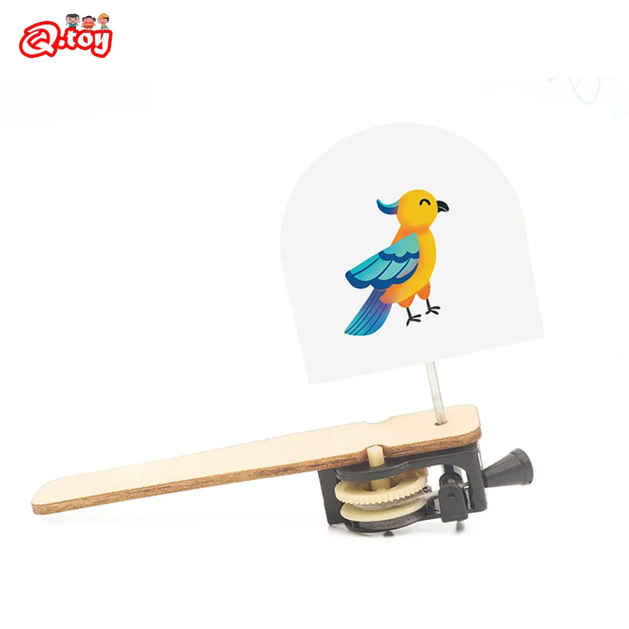 DIY Käfigvogel STEM Kit Bildungswissenschaftsspielzeuge für Kinder