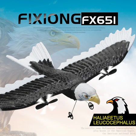 FX651 RC Plane Eagle &ndash; Durable EPP Foam Glider For Kids
