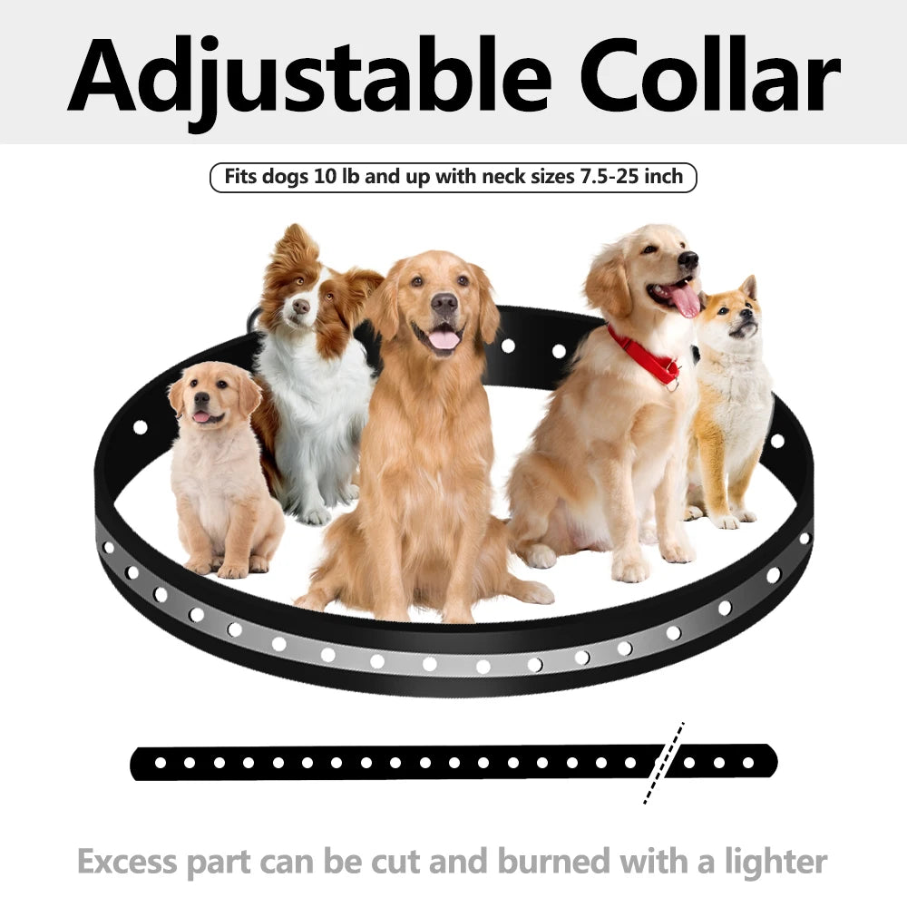 Adjustable Waterproof Shock Collar Receiver for Dog Training