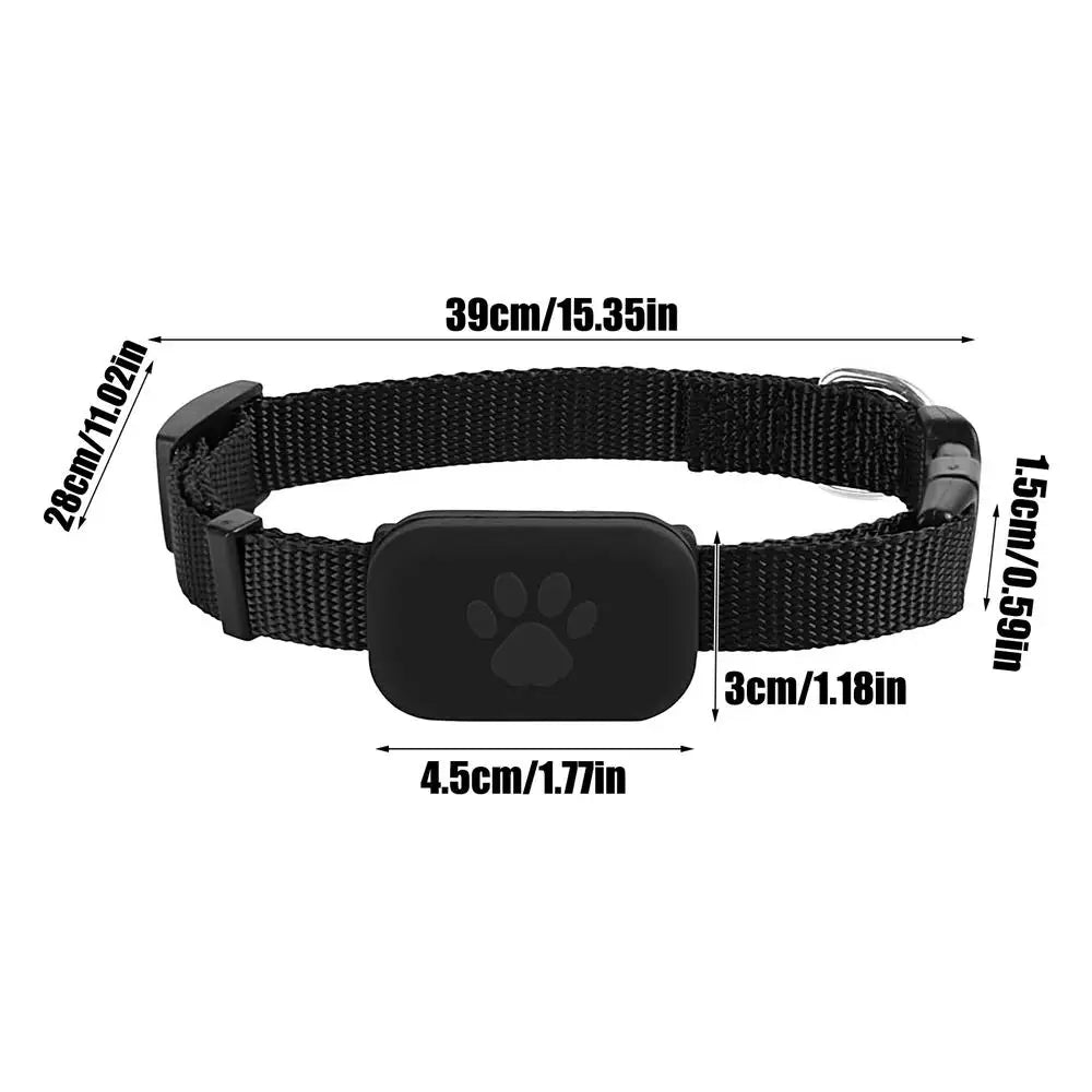 GPS Cat Collar Kitten Tracking &ndash; Long Lasting Battery Black