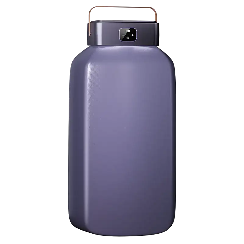 Portable UV Sterilizing Travel Foldable Clothes Dryer Timer PURPLE / US