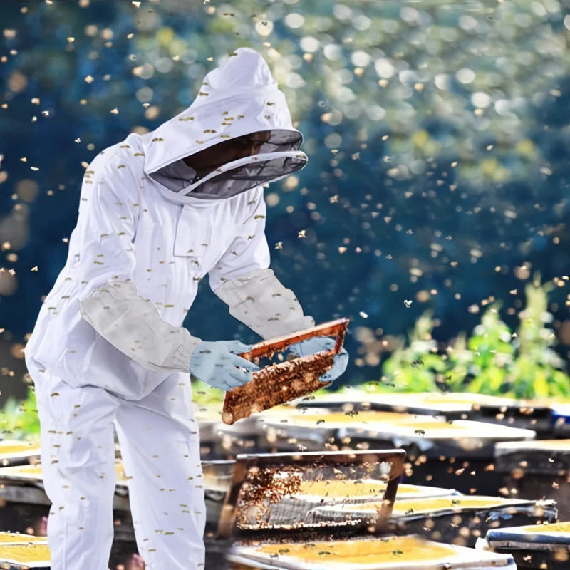 Professional Beekeeping Suit &ndash; Breathable and Durable Fabric