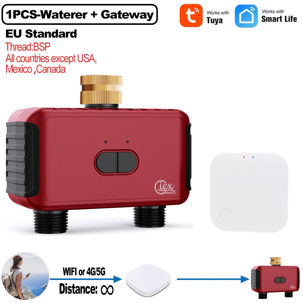 Smart 2 Zone Watering Timer 1PCS-Valve-HUB-EU
