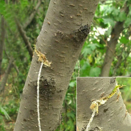 1pc Leather Cover Stainless Steel Wire Saw Wilderness Survival Outdoor Camping Hike Mini Hand Pulled Rope Saw Survival Equipment