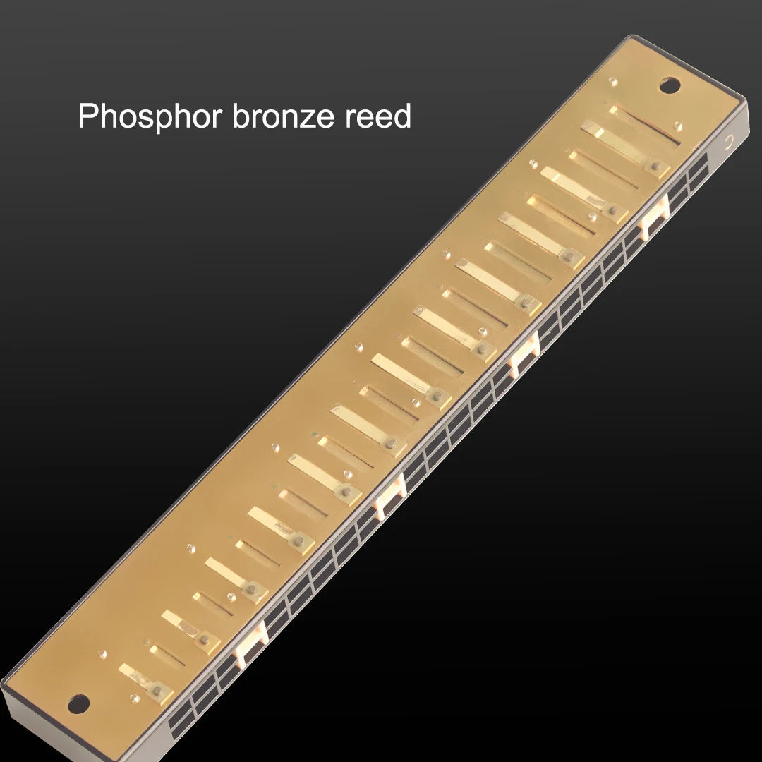 Guoguang Tremolo 24 Hole Harmonica Key C &ndash; With Case